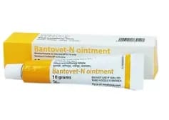 Ointment Bentovet N 0.1%+0.5% (10gm)